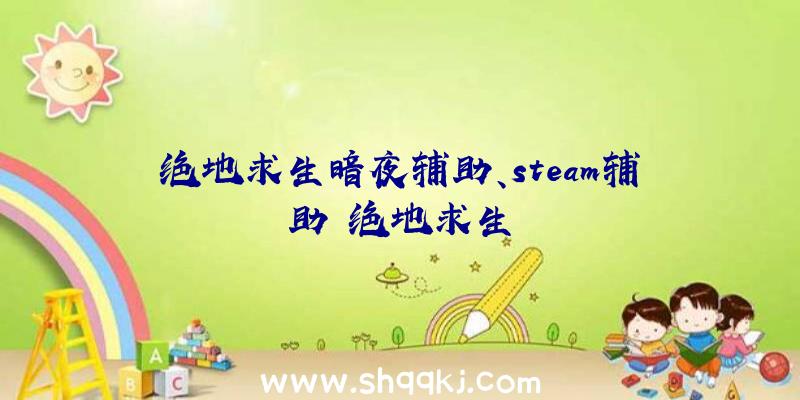 绝地求生暗夜辅助、steam辅助